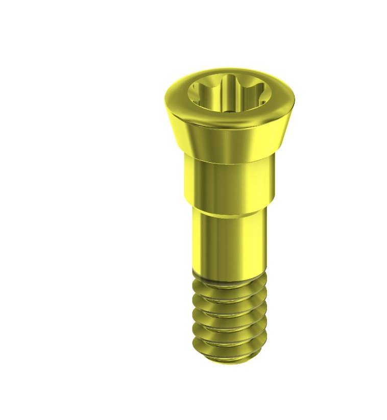 Cover Screw Conical BL NP