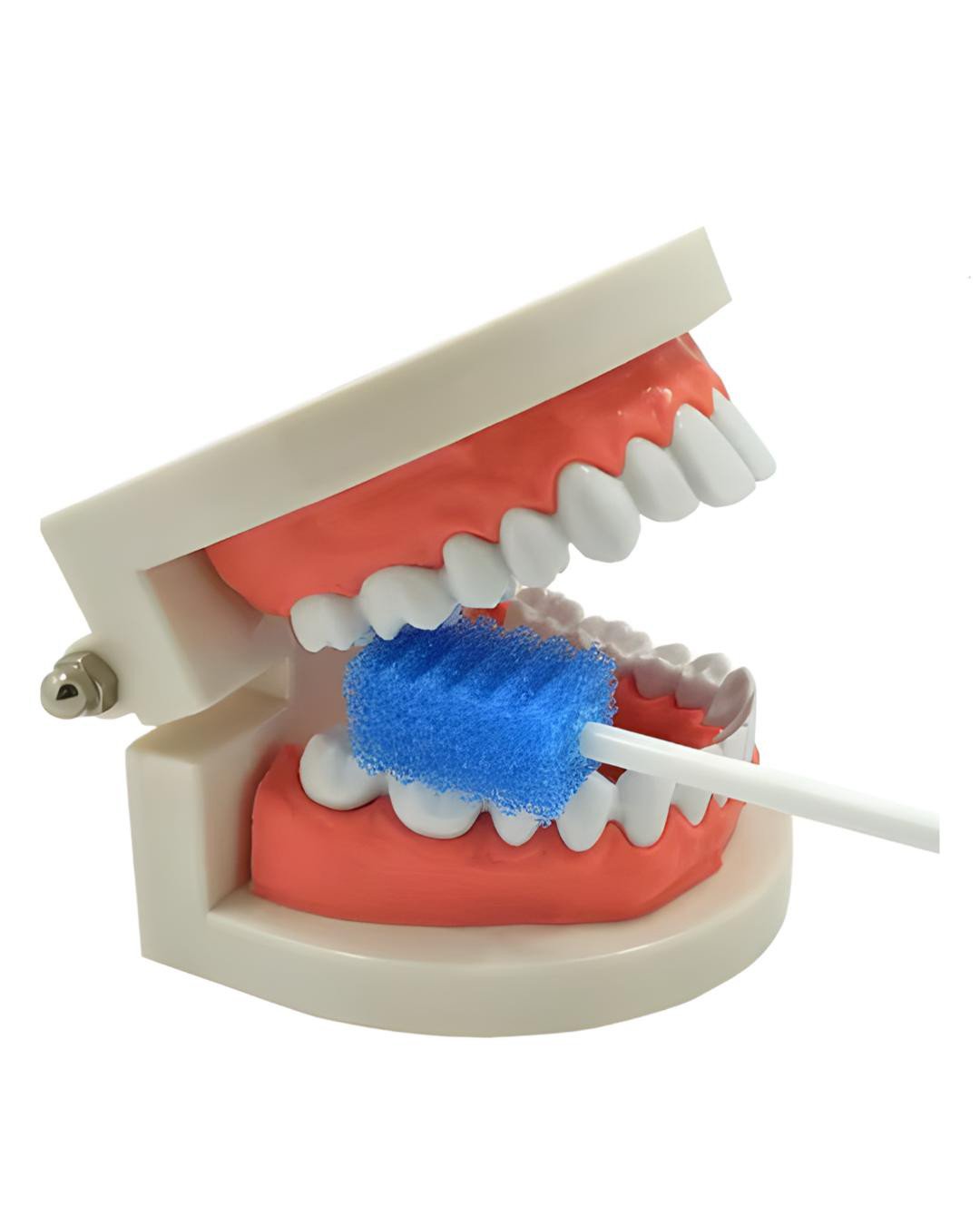 فرشاة تنظيف اسنان اسفنجي Dentips